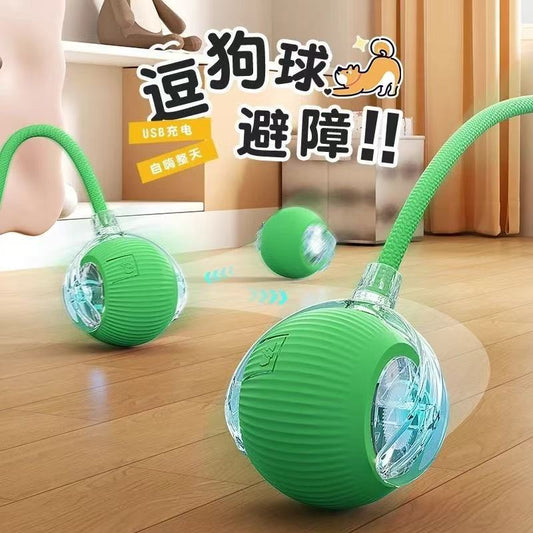 Automatic Rolling Cat Ball