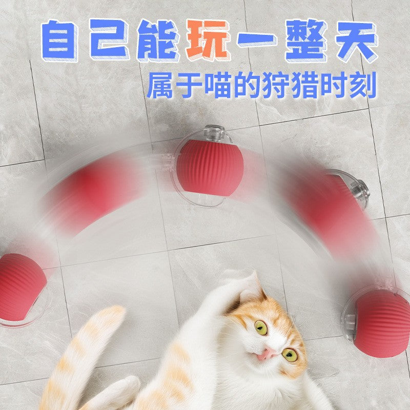 Automatic Rolling Cat Ball