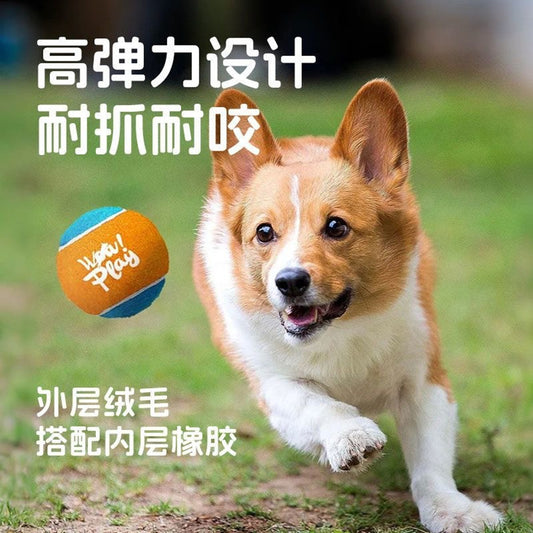 Handheld Automatic Ball Thrower