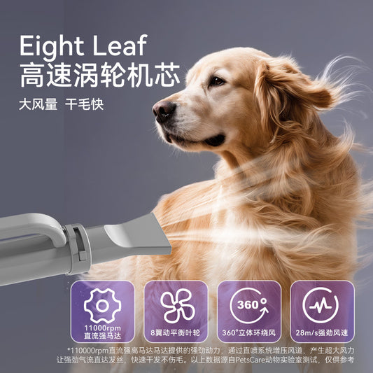 High-Power Low-Noise Dog Hair Dryer