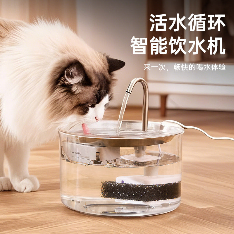 Stainless Steel Automatic Water Dispenser