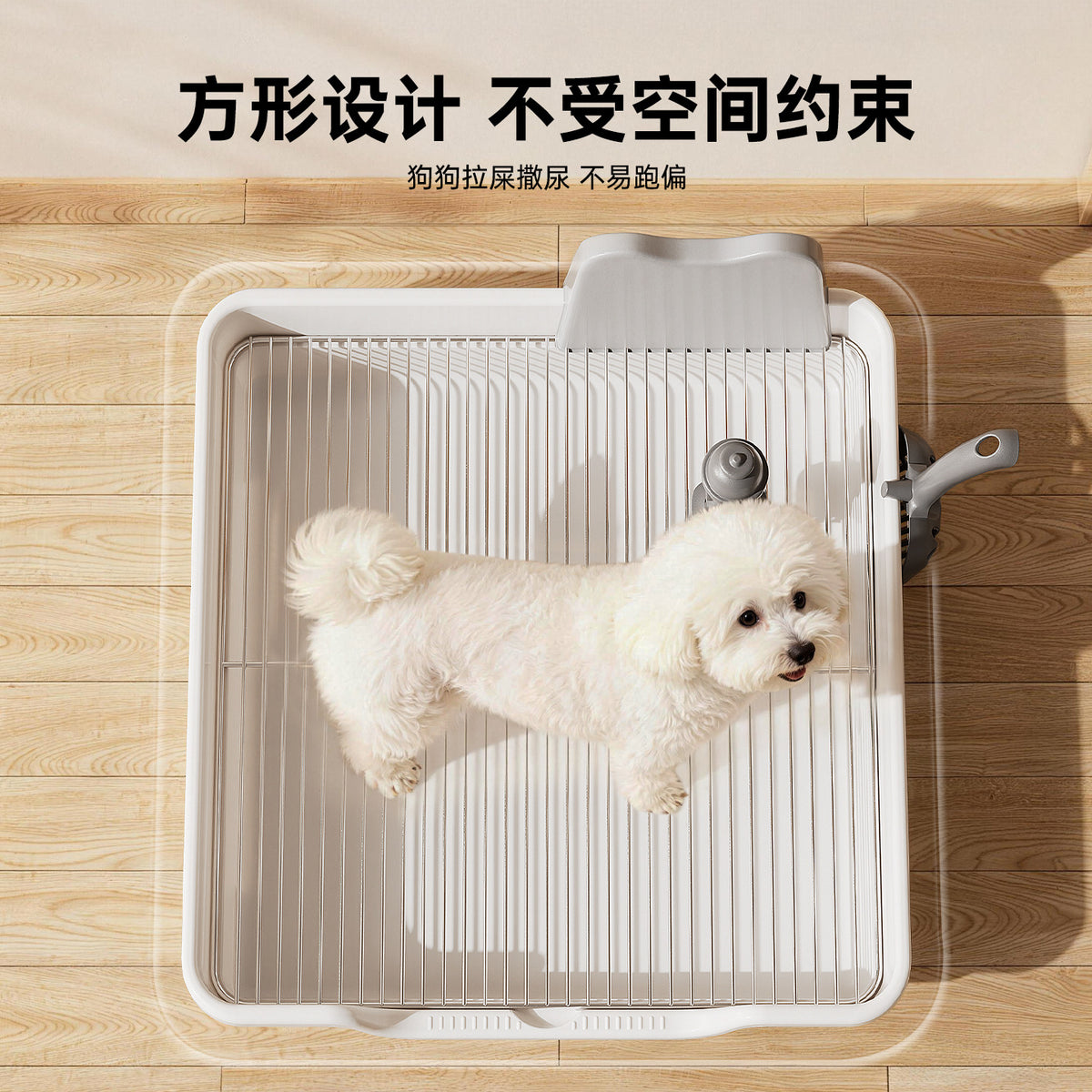 Oversized Dog Litter Box with High Fence